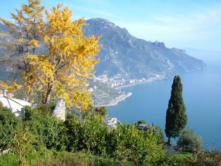 Amalfi Coast - Jack the Driver